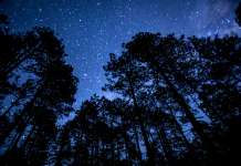 San Antonio Cuajimoloyas: paisajes infinitos y cocina serrana en el corazón de Oaxaca