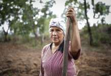 Sembrar la tradición: mujeres mixes preservan la siembra y su espiritualidad en Ayutla