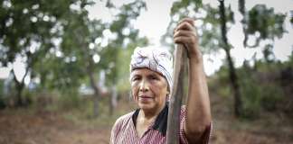 Sembrar la tradición: mujeres mixes preservan la siembra y su espiritualidad en Ayutla