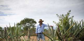 Donde arde la memoria: el palenque de los Jarquín y su lucha por mantener vivo el mezcal