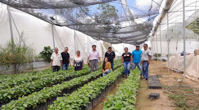 Café “Oro Mágico”, cooperativa para hacer frente al cambio climático, coyotes y trasnacionales