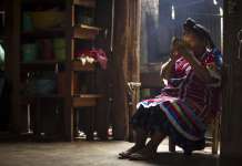 Una bebida de tres días: el popo chinanteco y el conocimiento que se resiste a desaparecer