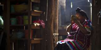 Una bebida de tres días: el popo chinanteco y el conocimiento que se resiste a desaparecer