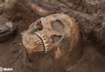 A 300 metros de la zona arqueológica de Tula, las obras del tren dejaron al descubierto un altar con decapitaciones rituales de hace mil años