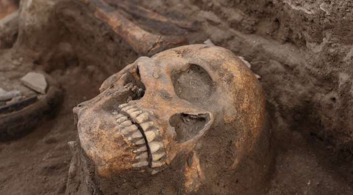 A 300 metros de la zona arqueológica de Tula, las obras del tren dejaron al descubierto un altar con decapitaciones rituales de hace mil años